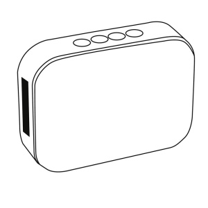Enceinte sans fil MESHES 10