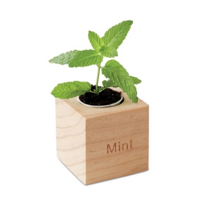 Pot en bois avec graine Menthe - MENTA 4
