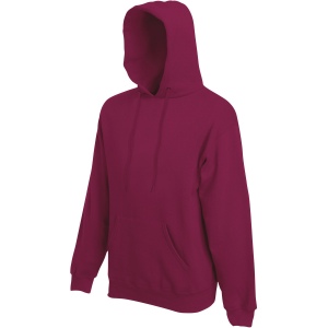 Sweat-shirt capuche Premium 3
