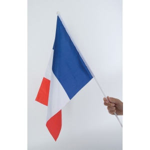 Drapeau tricolore (+Sérigraphie TH41) 3