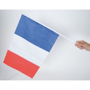 Drapeau tricolore (+Sérigraphie TH41) 4