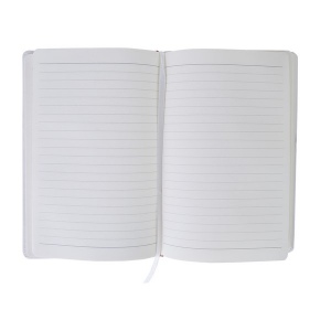 Carnet a5 80 feuilles lignees (+Quadri numérique QV11) 12