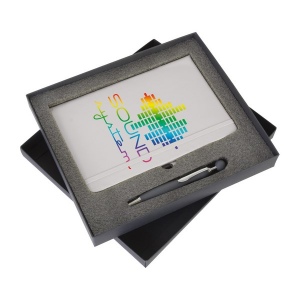 Set stylo e1006 + carnet y1715 (+Quadri numérique QV11)