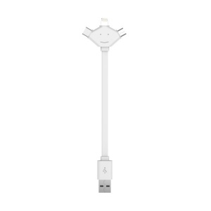 Mini Câble multi-connecteurs - W cable pocket 2