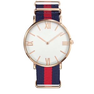 Montre DANDY ROSE GOLD 2