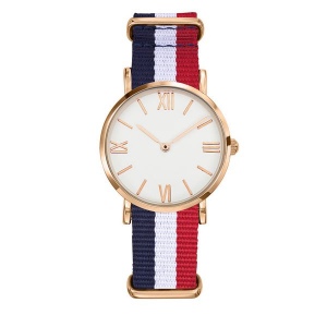 Montre DANDY ROSE GOLD 14