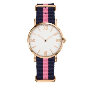 Montre DANDY ROSE GOLD 17