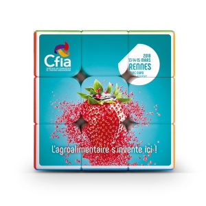 CUBE CASSE-TETE 4