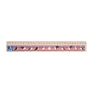 REGLE CHARME 30 cm(+Quadri 1 face sur la regle (30x2,4 cm)) 4