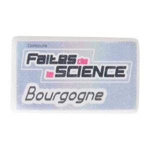 GOMME RECTANGULAIRE PM(+Quadri recto 2,1 x 3,7 cm) 7