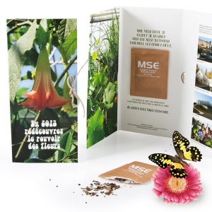 GRANDE CARTE PERSONNALISÉE 3 VOLETS AVEC SACHET DE GRAINE