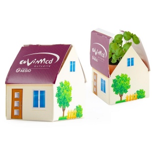 KIT DE PLANTATION MAISON DU CLIMAT