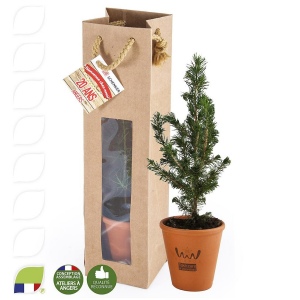 SAPIN DE NOËL EN POT TERRE CUITE ET SAC KRAFT PRESTIGE