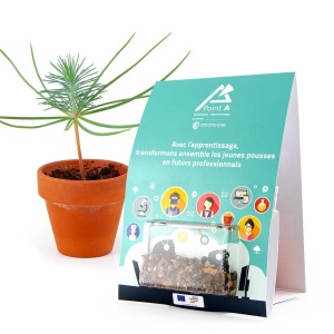 Chevalet de bureau original avec graines d'arbres