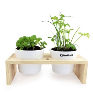 Plateau Duo aromatiques 2