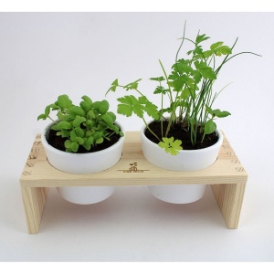 Plateau Duo aromatiques 3
