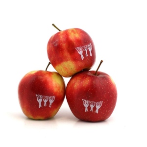 Pomme Publicitaire 2