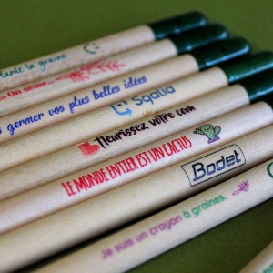 Crayon à graines seul 2