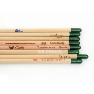 Crayon à graines seul 3