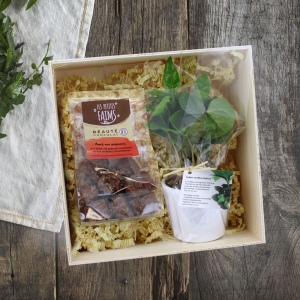Coffret Caféier