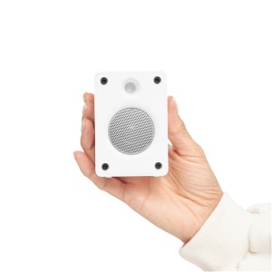 Enceinte sans fil OLD SCHOOL 10