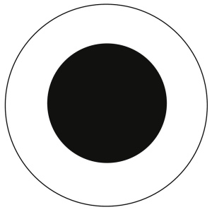 Support de téléphone magnétique FLUX 11