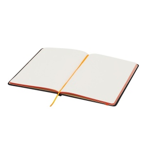 Carnet de notes LECTOR: Format DIN-A5 17