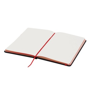 Carnet de notes LECTOR: Format DIN-A5 11