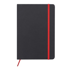 Carnet de notes LECTOR: Format DIN-A5 12