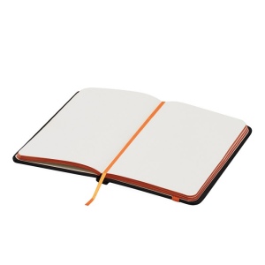 Carnet de notes LECTOR: Format DIN-A6 17