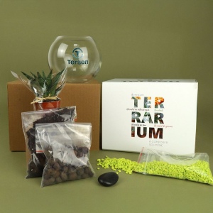 Terrarium DIY Petit modèle 2