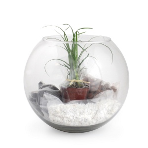 Terrarium en Kit - Grand modèle (dès 25ex sur devis)