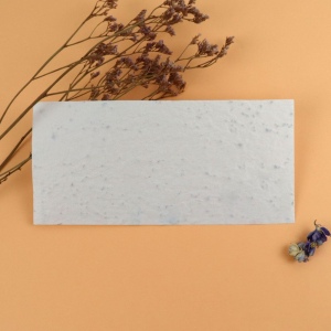 Enveloppe papier graines 3