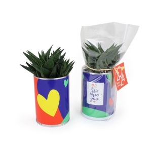 Canette plante all over 2