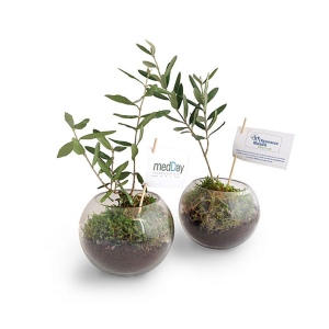 Globe arbre 3