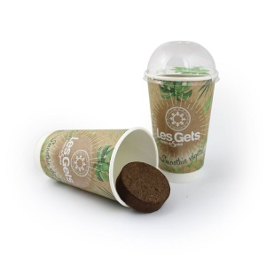 Smoothie graines 3