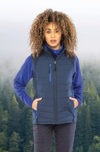 Gilet softshell rembourré black compass recyclé 14