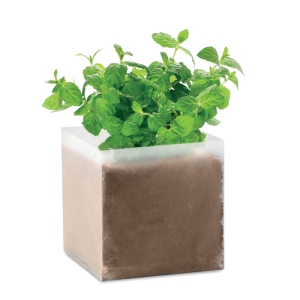 Substrat avec graines Menthe - MINT 2