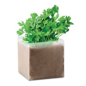 Substrat avec graines Persil - PARSLEY 2
