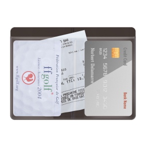 Etui 2 cartes pvc gomme verni (+Quadri numérique QV31) 4