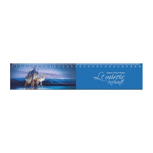 Magnet 0.8 mm 131 a 200 cm2 (+Quadri numérique QV11) 4