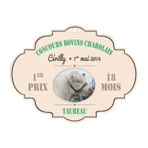 Pvc calandre 0.5mm 51/108 cm2 (+Quadri numérique QV11)