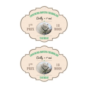 Pvc calandre 1 mm 51/108 cm2 (+Quadri numérique QV11) 4