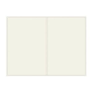 Etui 2 cartes pvc mat (+Quadri numérique QV11) 3