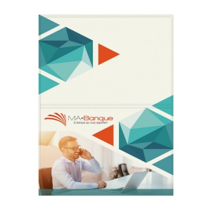 Etui 2 cartes pvc mat (+Quadri numérique QV31) 9