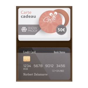 Etui 2 cartes pvc gomme verni (+Quadri numérique QV11) 4