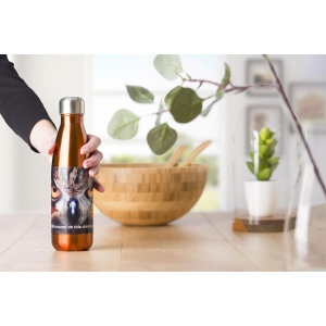 Gourde simple paroi de 650 ml en acier inoxydable Sumatra 16