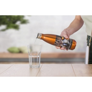 Gourde simple paroi de 650 ml en acier inoxydable Sumatra 18
