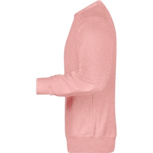 Sweat-Shirt bio Homme Daiber 60
