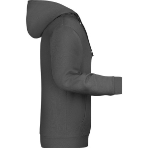 Sweat-shirt à capuche Homme Daiber 33